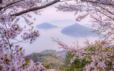 Comemorando o Dia Internacional do Haiku com nossos membros japoneses